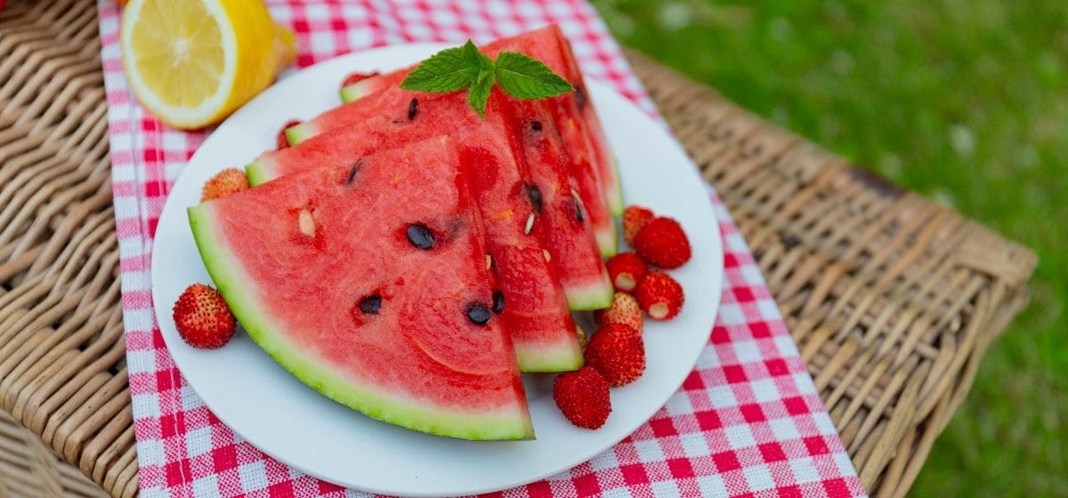 Сезон пикников: вкусно, безопасно, без вреда для здоровья, фото 3 Сезон пикников: вкусно, безопасно, без вреда для здоровья, фото 3