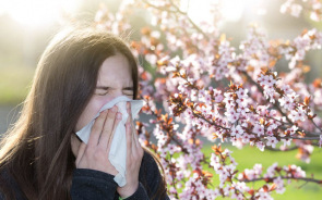 Боротьба з алергією: гарне самопочуття не залежить від сезону! | Amrita
